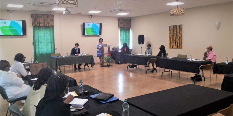 Ministry of Health Holds Capacity Building Project for The Prevention and Control Of Metabolic Diseases