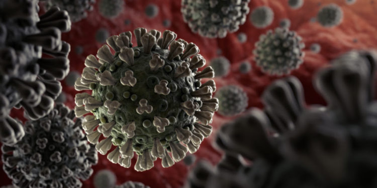 Chief Medical Officer Reports on New Variant Strain of the SARS-COV-2