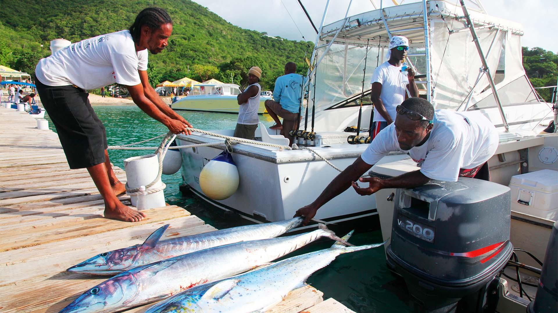 The Way I See It