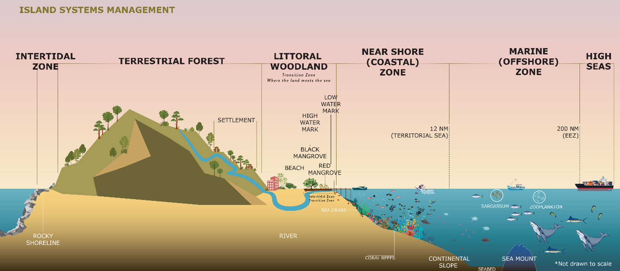 OECS Member States to Validate Coastal and Marine Spatial Plans on February 26, 2021