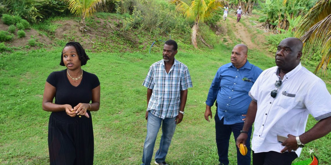 Women Play A Pivotal Role in The Development of Agriculture Within the Federation