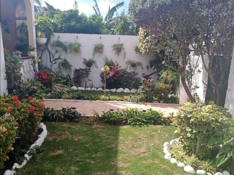 Judging Begins Back Yard Competition