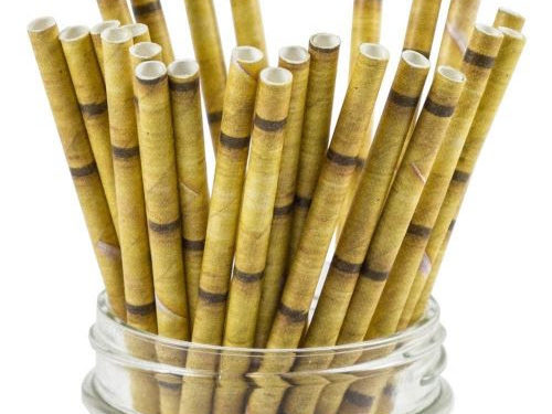 Some Environmentally Conscious Businesses in The Federation Have Already Started Using Alternatives to Single-Use Plastics