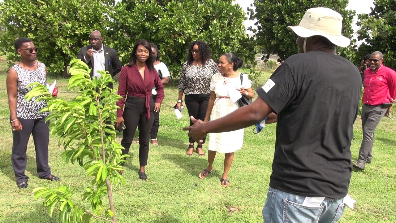 Premier Brantley lauds the new fruit garden tour as a boost to Nevis’ tourism product