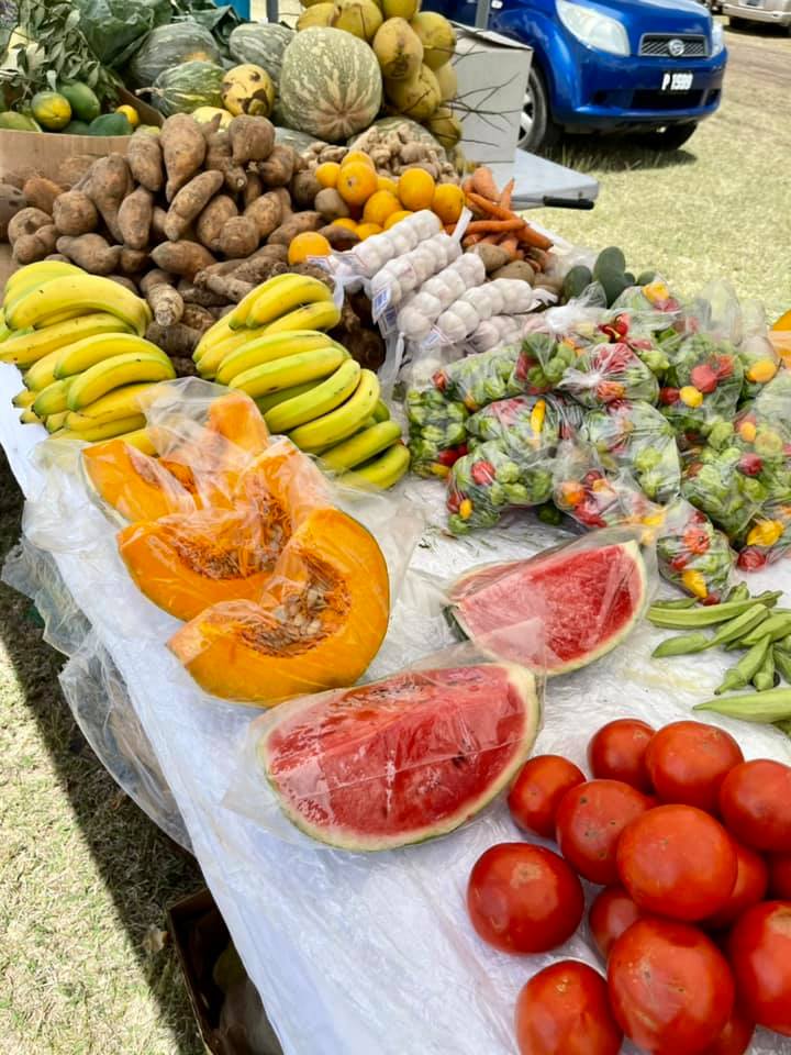Agriculture’s importance and relevance the focus of Agriculture Awareness Month activities