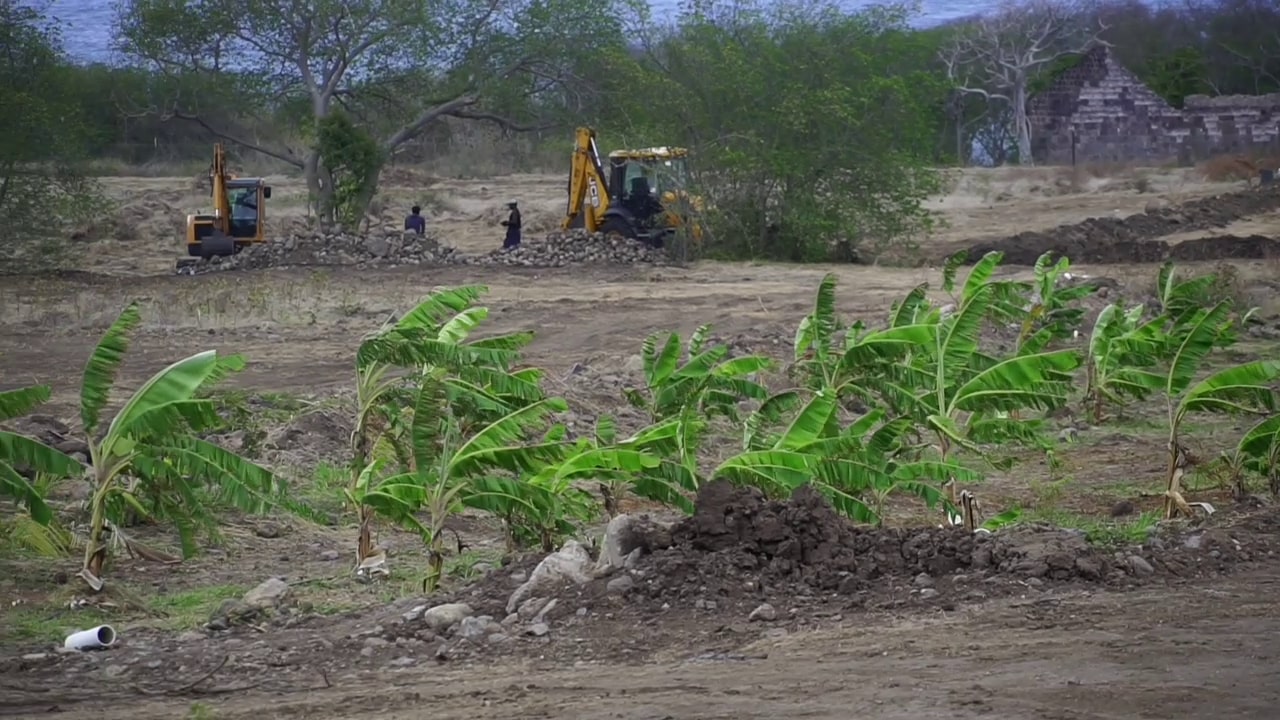 NIA invests over $150k in fruit production at Indian Castle farm