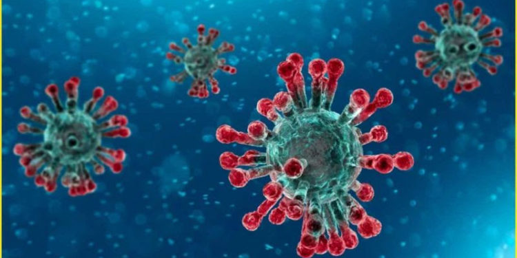 St Kitts And Nevis Health Officials Remain Vigilant in Identifying COVID-19 Variants