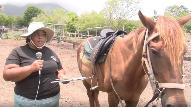 Horse Riding