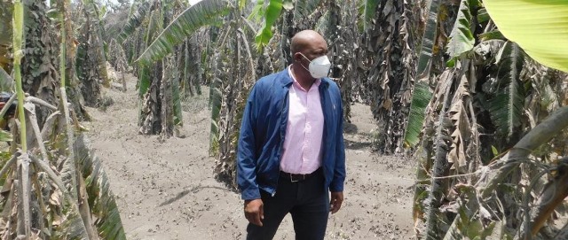 Saint Vincent and the Grenadines Receives a Donation of Seeds From Brazil To Continue with the Recovery of its Agriculture Following The Eruptions Of The La Soufrière Volcano