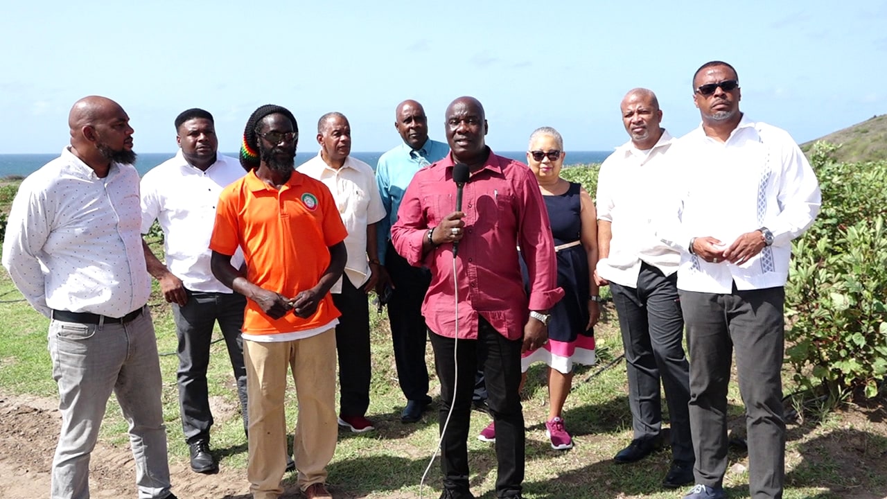 NIA Cabinet impressed with new agro initiative- the Indian Castle Vegetable and Fruit Farm