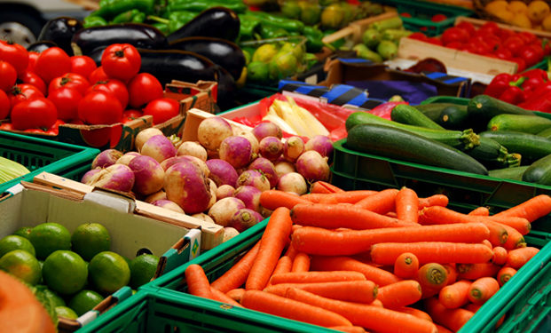 Transformation and Growth of St Kitts And Nevis’ Agricultural Sector Prioritized in New Strategy Document