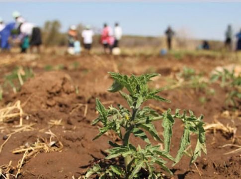 Farmers who suffer loss due to climate change to be compensated