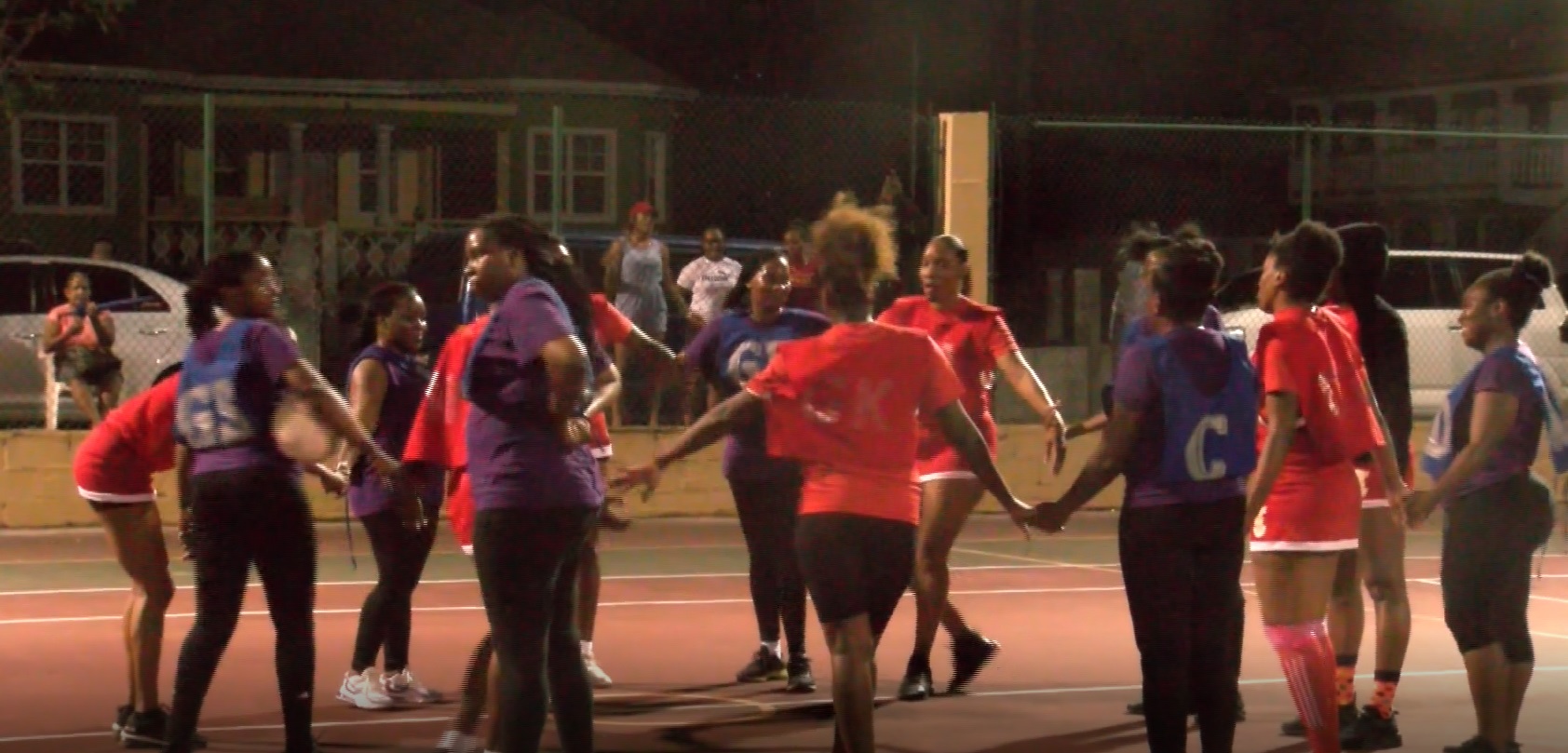 Netball : Newtown Swamps Dynamics
