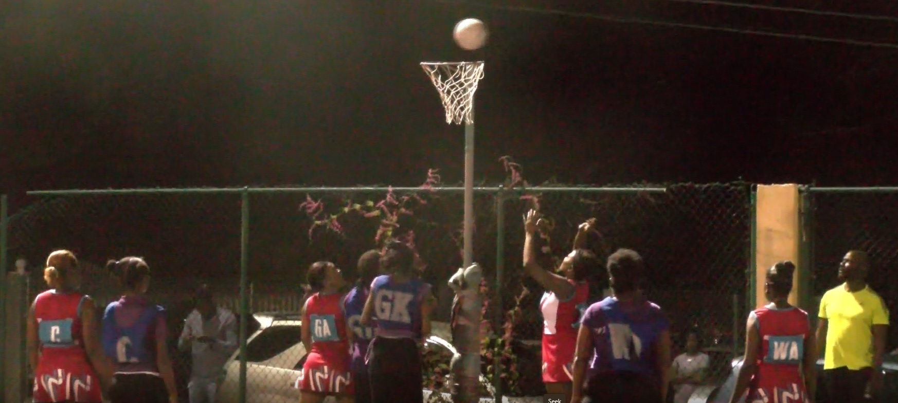Netball  : Shamrock Steals Dynamics Joy