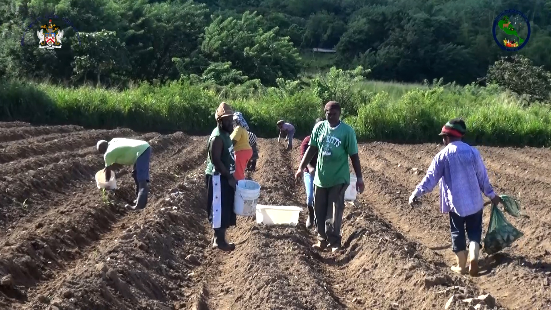 Farmers Field School Training Underway at Fahies Outreach Center