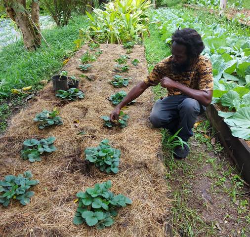 TDC Home and Building Depots celebrate Farmers