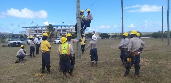 CARILEC To Train 163 Regional Line workers In Post-Disaster Restoration Services