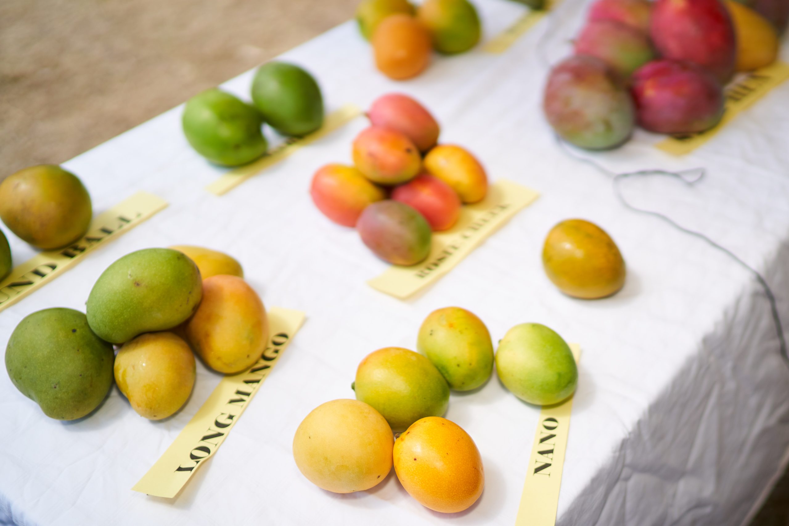 This July visit Nevis for mangoes, mangoes and more mangoes, NTA says