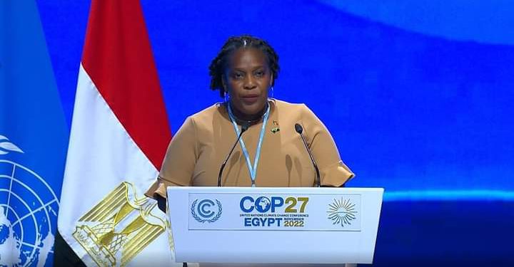 Minister Dr. Clarke Delivers Address During COP27 High-Level Segment