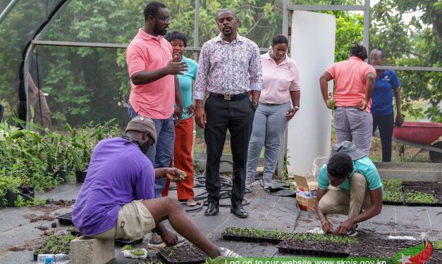 St. Kitts And Nevis Has the Resources to Create a Robust and Sustainable Agricultural Sector