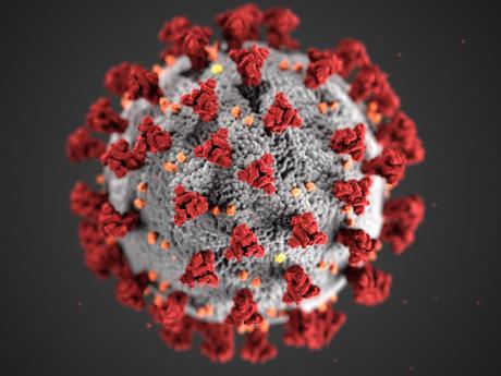WHO reports 90% drop in world COVID-19 deaths since February