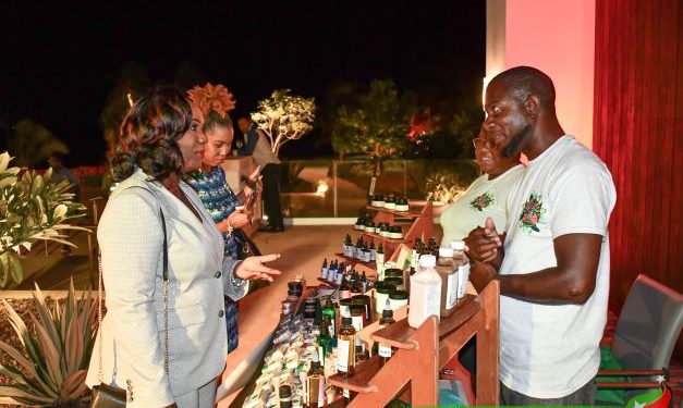 St. Kitts Tourism Stakeholders Briefed on Strategies to Move the Industry Forward
