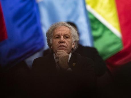 US supports calls for external ethics probe into OAS chief