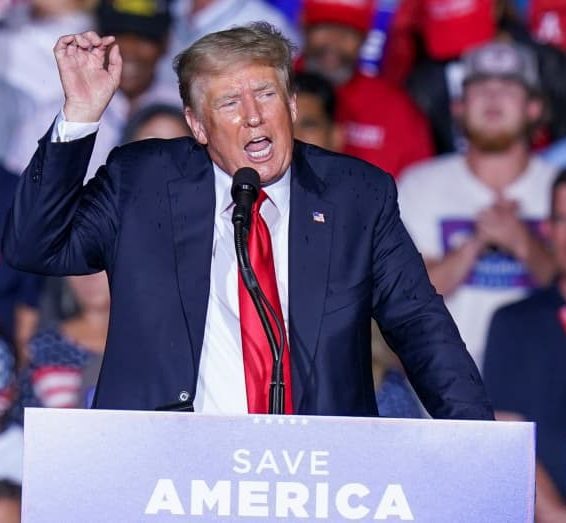Musk restores Trump’s Twitter Account after Online Poll
