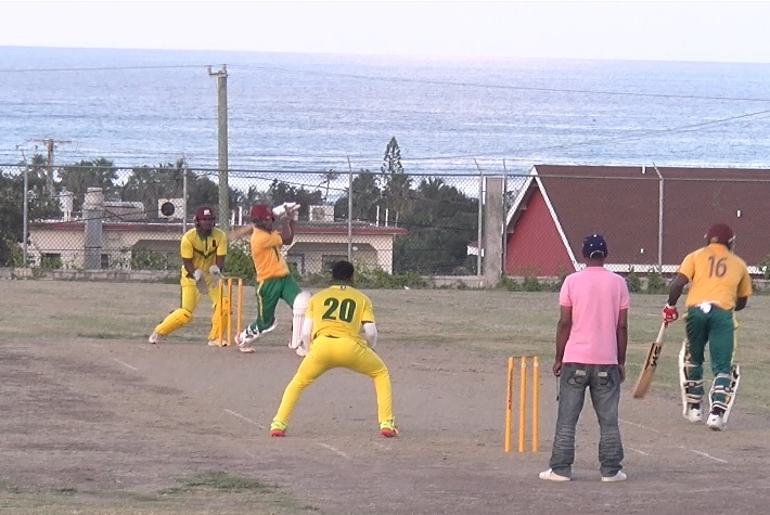 Cricket : Empire Takes Care of All Stars