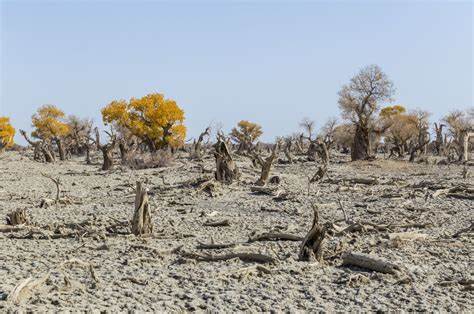 Less rainfall in the Caribbean region as dry season continues