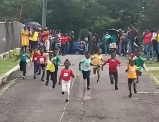 Ivor Walters Primary Hosts Cross Country Event