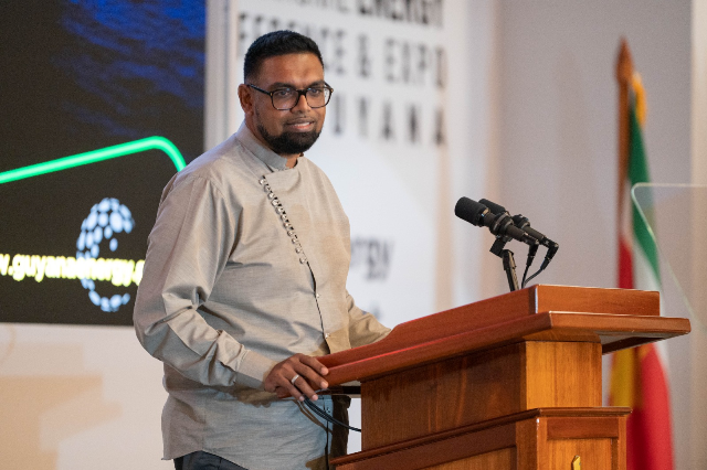 Global coalition needed to address energy, food security, climate change − President Ali