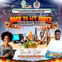 Back To My Rootz Agri- Night Market Registration Now Open