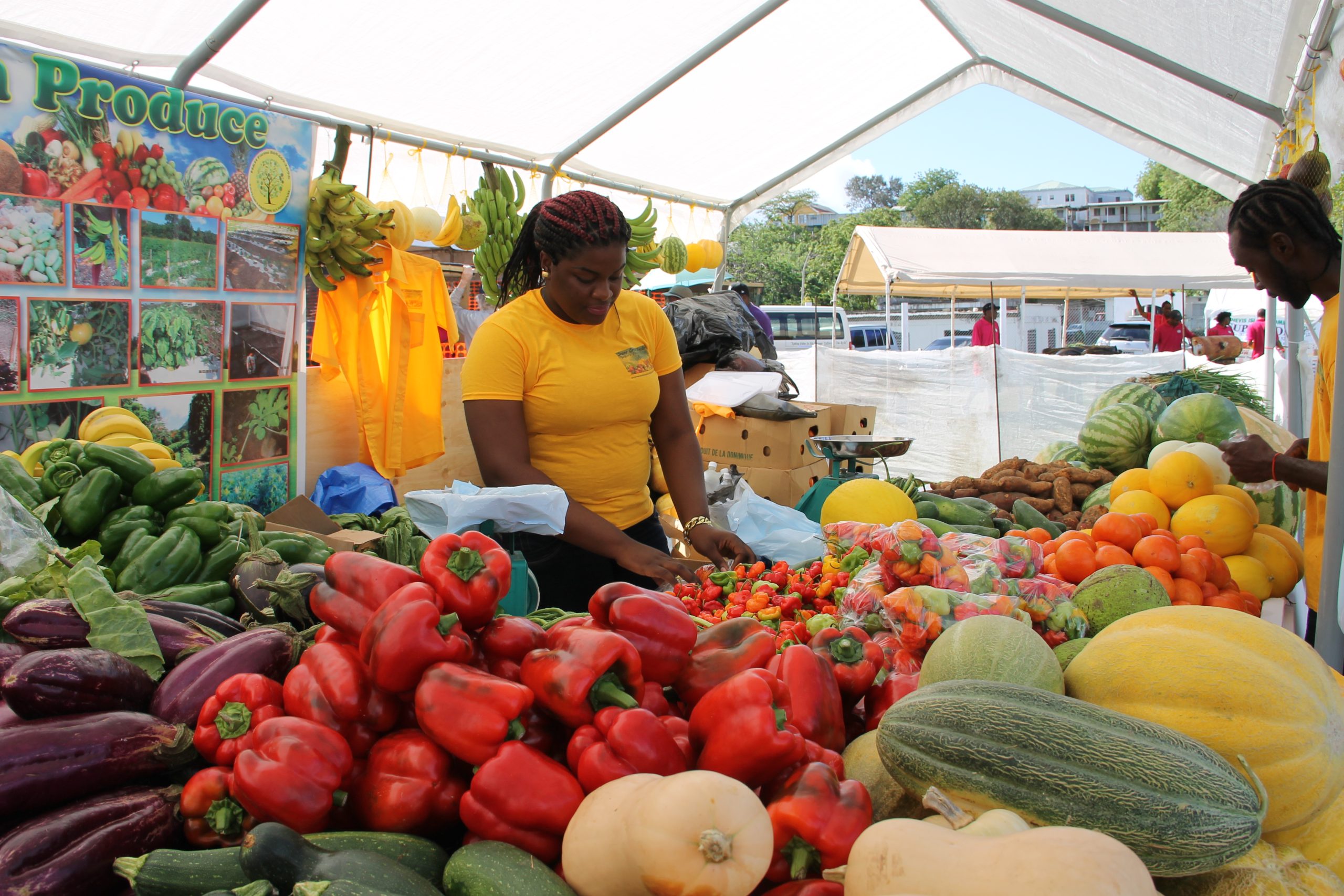 Nevis’ 27th annual Agriculture Open Day to be rebranded Agri-Expo 2023