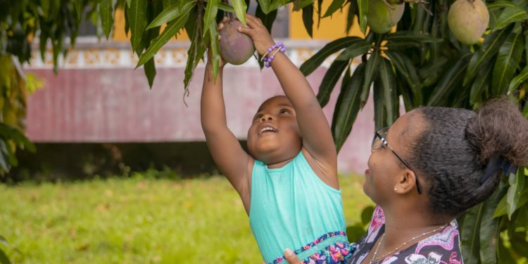 Caribbean Food Security at Risk from The Impact of Disaster-Related Events