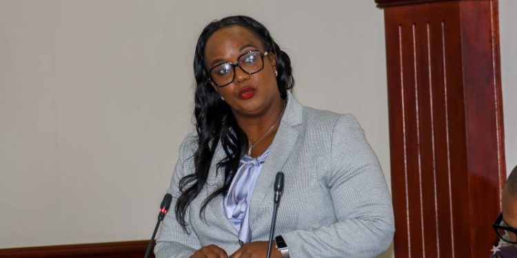 Minister Henderson Confident That InterCaribbean Airways Will Boost Intra-Regional Travel