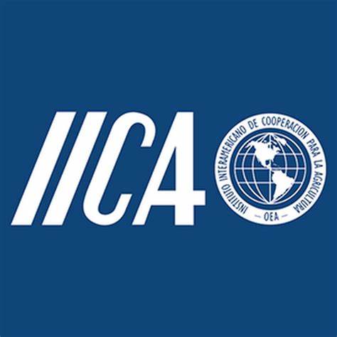 New Fisheries Food Safety Hub launched by IICA and CRFM under EU-funded project