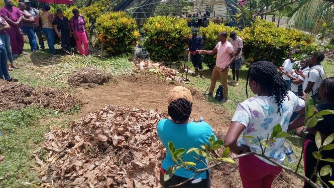 100 Participants in The Caribbean Equipped to Enhance Livestock and Soil Management