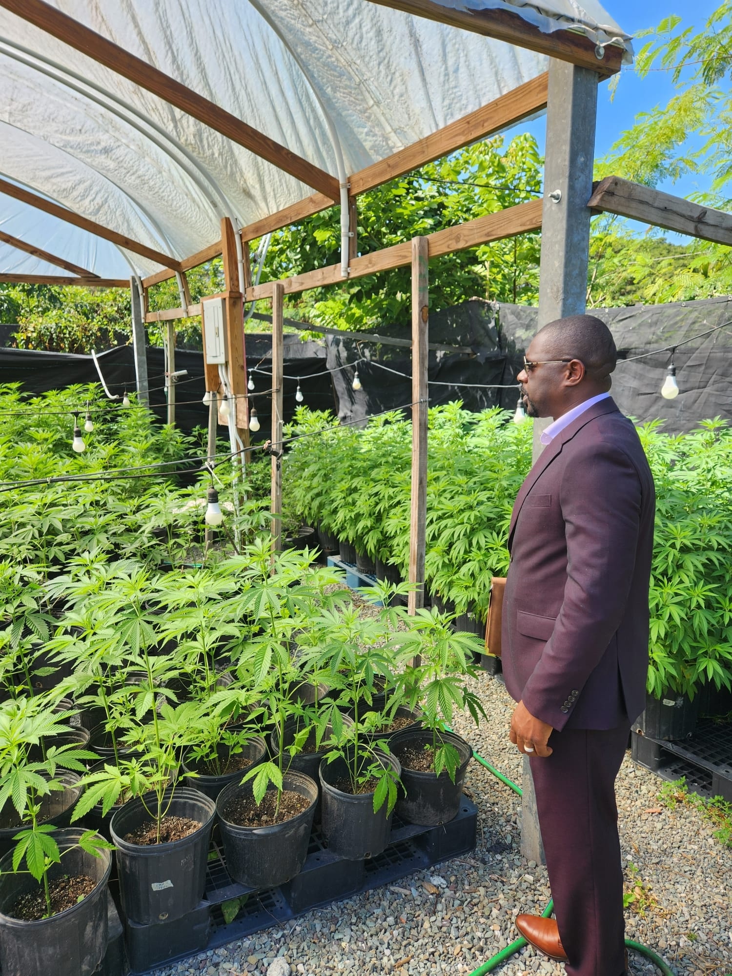 Cannabis Act Now Fully Activated