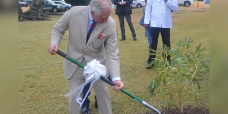 No Timeline for St. Kitts And Nevis Becoming a Republic—PM Dr Drew