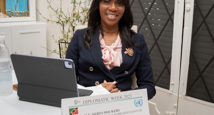 St. Kitts And Nevis Represented at The UN’s Second Forum on People of African Descent