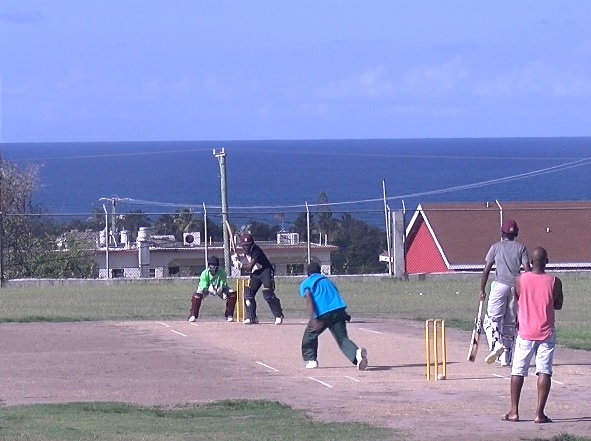 Cricket  : New Vision Defeats Nevis Masters
