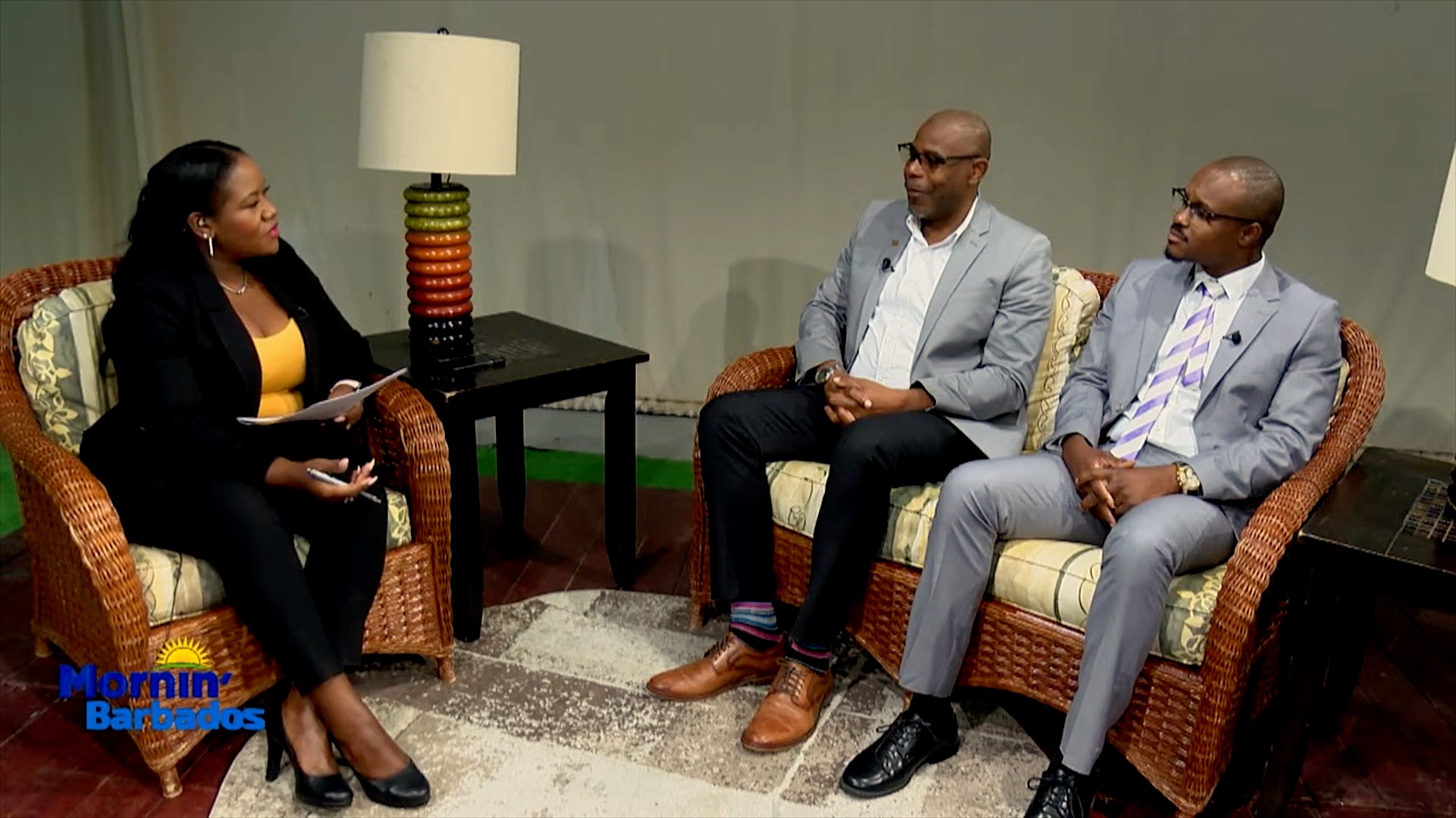 NTA CEO invites Barbadians to Nevis Mango Festival