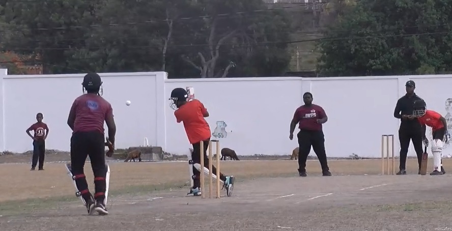 Cricket  : Charlestown Primary Takes Care of Ivor Walters Primary