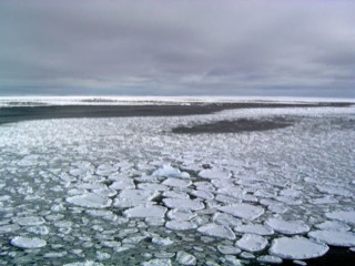 Recent events that indicate Earth’s climate has entered uncharted territory
