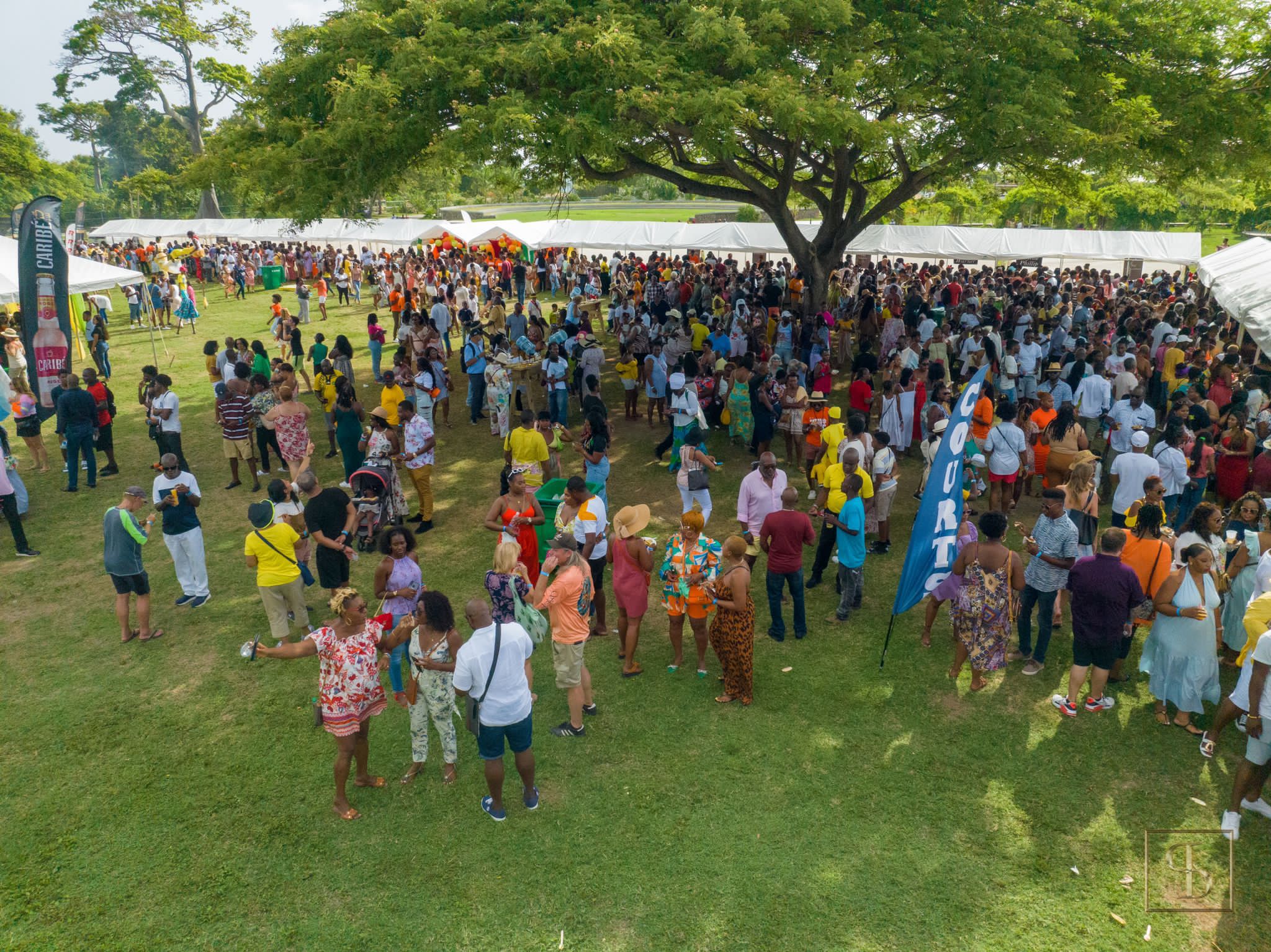 Record Patron Turnout for Finale Event of Nevis Mango Festival 2023
