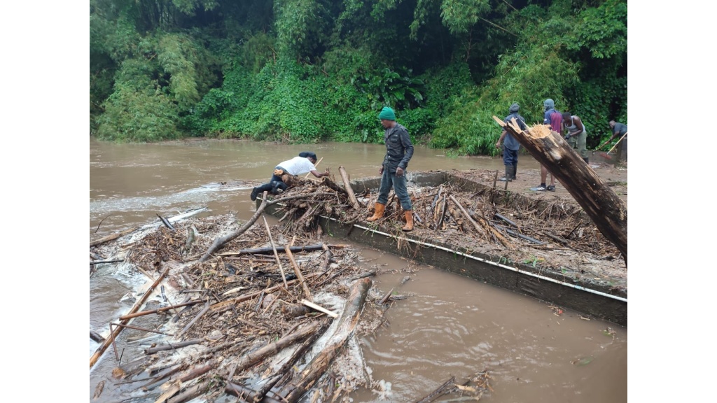 Tropical Wave Downs Trees, Damages Property in Grenada