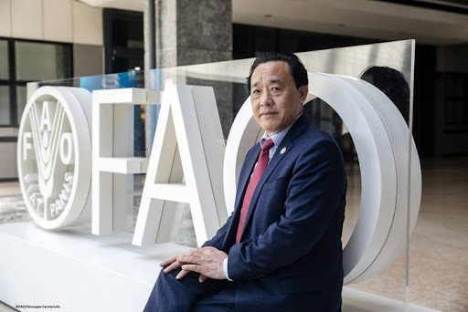 As UNFSS+2 Closes, FAO Reiterates Its Commitment to Support Nations in Accelerating the Pace of Transforming Agrifood Systems