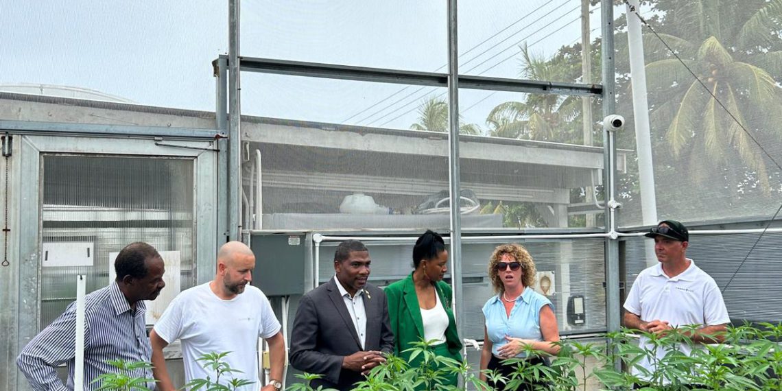 Prime Minister of Saint Kitts and Nevis Explores Medicinal Cannabis Innovations at CANNA SVG Medicinal Cannabis Farm in Saint Vincent and the Grenadines
