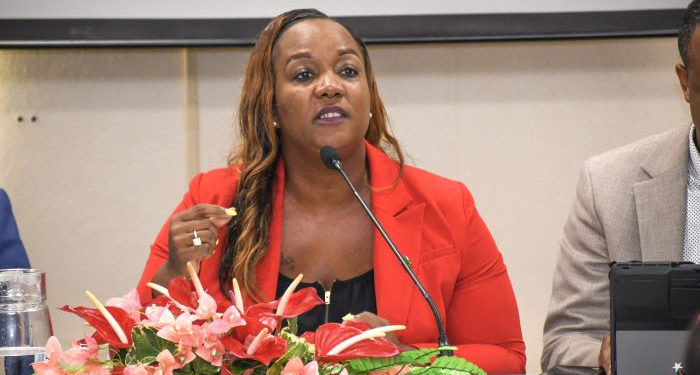 Minister Henderson Says the Ministry of Tourism Has Achieved Significant Feats in One Year